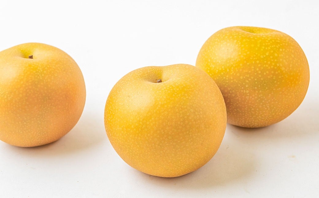 ãå
è¡äºçŽã 梚ã®å±±è梚å ããã¥ã梚 5çãã7çïŒçŽ2.5kgïŒã2026幎9æäžæ¬ïœäžæ¬çºéäºå®ã 梚 ãªã ãã· æç© ãã ãã® ãã«ãŒã æå® ææ± 5ç 7ç ããã¥ã