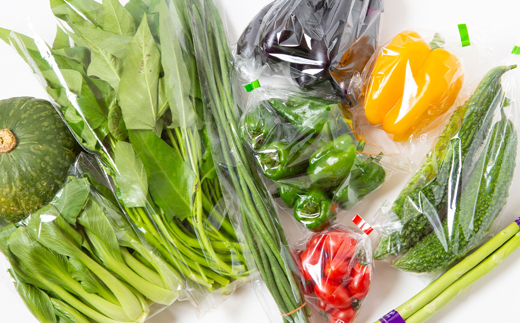 【月2回定期便】UIC 名水うきはの無農薬減農薬お野菜セット (ひと月2回×半年間=計12回)