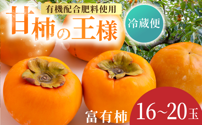 【先行予約】有機配合肥料使用 冷蔵富有柿 16玉から20玉 2025年12月中旬から2026年1月下旬 出荷予定【春光園】 柿 かき 甘柿 甘い 果物 フルーツ