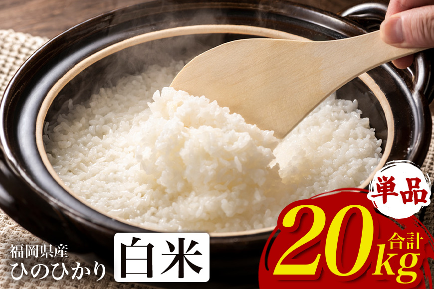 【ふるさと納税】ひのひかり 米 お米 白米  10kg  10キロ  福岡県産 うきは市 国産 精米 ご飯 ごはん おにぎり お弁当 人気 おすすめ 家庭用 送料無料 新米 ストック 厳選 農家直送 大容量【JA福岡くるめ にじの耳納の里】