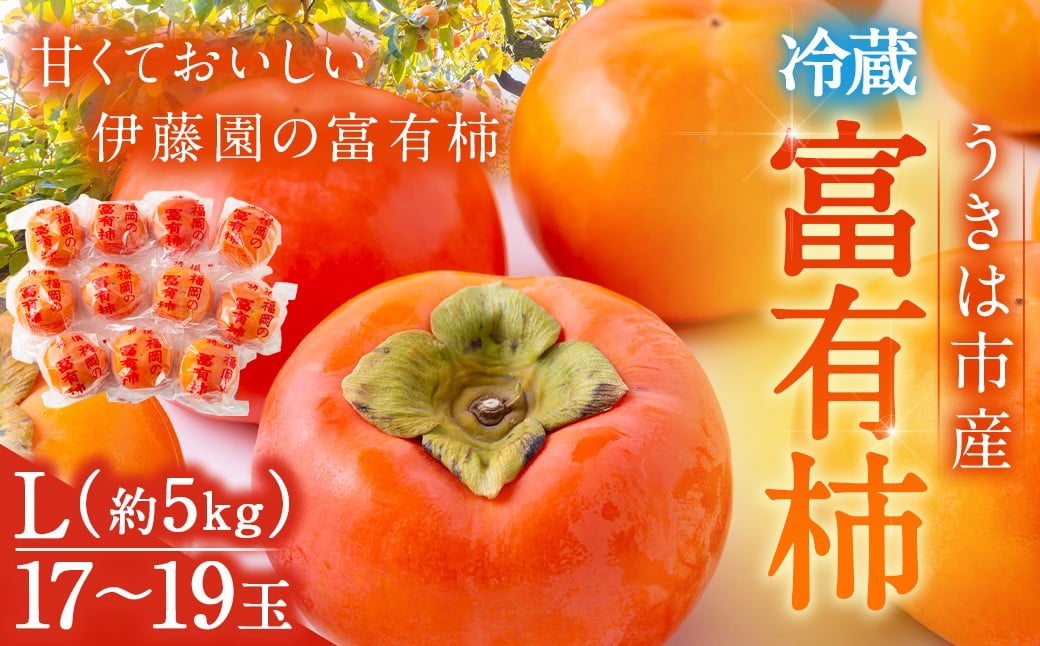 【先行予約】伊藤園 冷蔵富有柿 （Lサイズ） 17玉～19玉 約5kg 【2025年12月中旬から12月下旬出荷予定】 ／ 富有柿 柿 果物 フルーツ くだもの うきは市