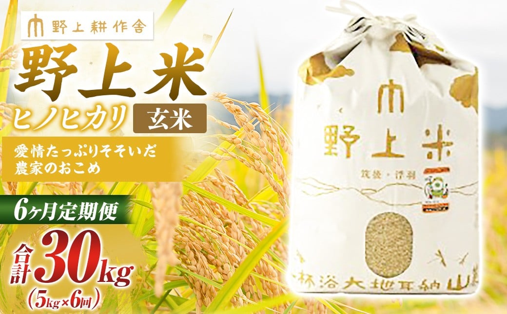 【6か月定期便】 玄米 野上米 5?×6回 計30kg 【2025年10月下旬より発送予定】 ヒノヒカリ 米 こめ コメ お米 常温 国産