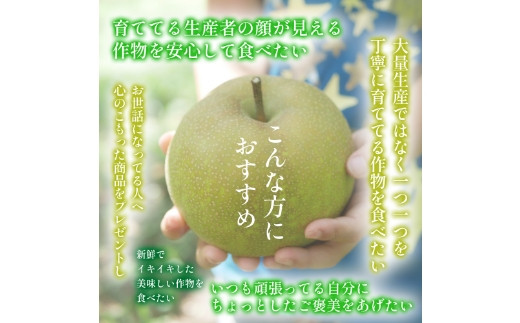 【先行予約】しゅうたの畑 希少品種 あきづき梨 6玉から7玉 2025年9月上旬から9月中旬 出荷予定