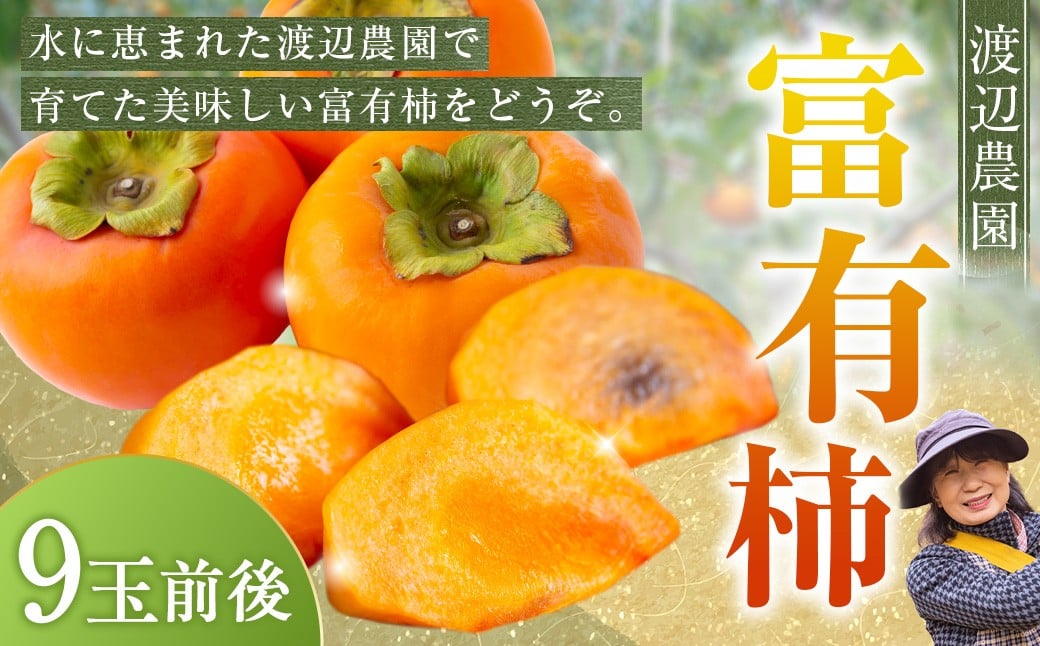 【先行予約】渡辺農園 富有柿 9玉前後 2025年11月中旬から12月上旬 出荷予定
