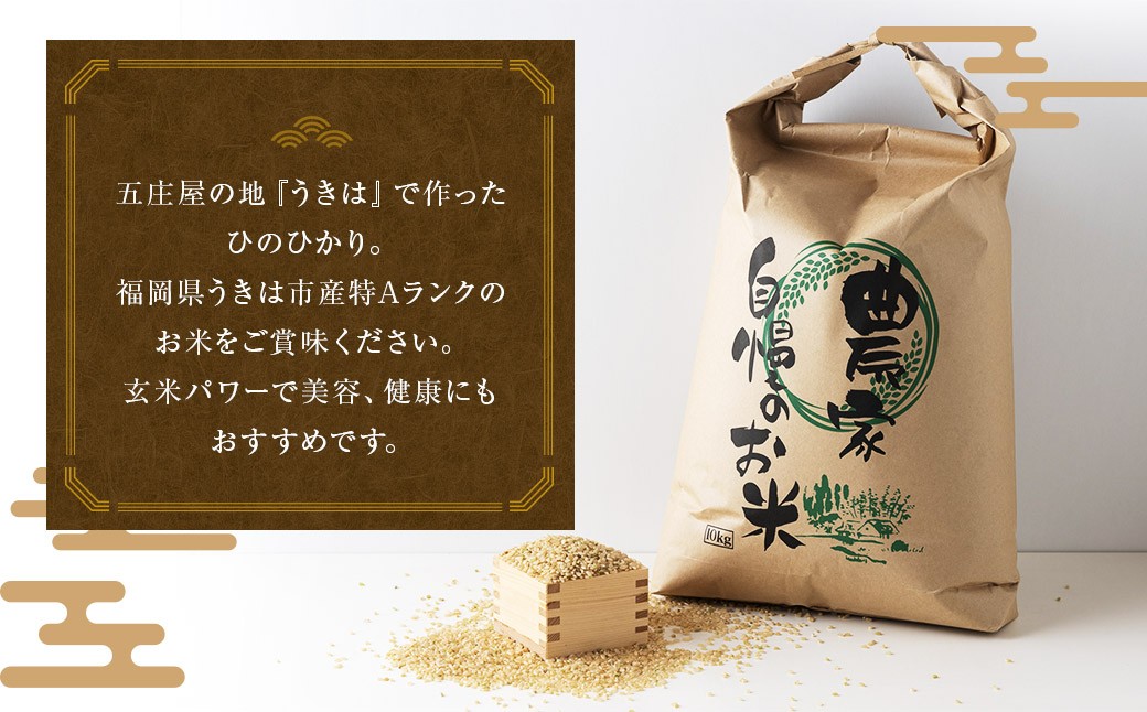 【特Aランク米】五庄屋の地で作ったお米 ひのひかり 玄米 (5kg) 【2025年10月下旬より順次発送予定】 ヒノヒカリ こめ コメ ごはん ご飯 福岡県うきは市産 九州産