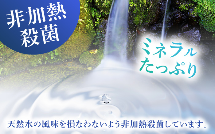 【3回定期便】赤ちゃんも安心して飲める 清水湧水 軟水 500ml 計48本 非加熱殺菌 ミネラルウォーター【株式会社清水】天然水の風味を損なわないよう非加熱殺菌 天然水 水 軟水 ペットボトル 500 500ml 定期便