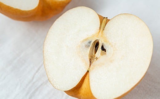 【先行予約】佐藤ファーム 愛宕梨 5玉から8玉(約5kg) 2025年11月上旬 出荷予定