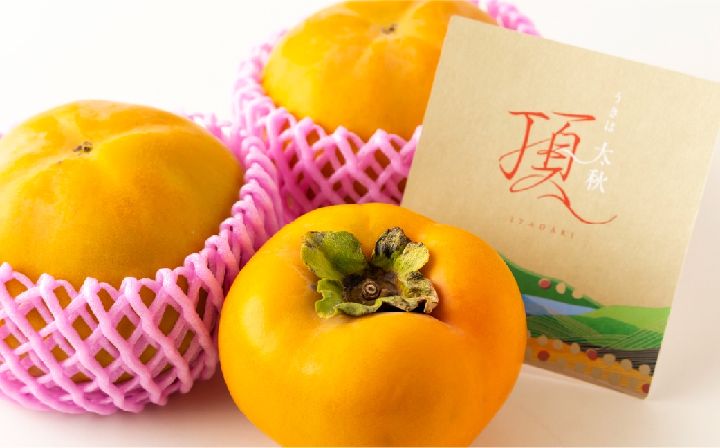 特選太秋柿 3玉  （ 約1kg ）  贈答用 ギフト 太秋柿 柿 フルーツ 果物 ギフト 完熟 【 2026年11月上旬～12月上旬発送予定 】