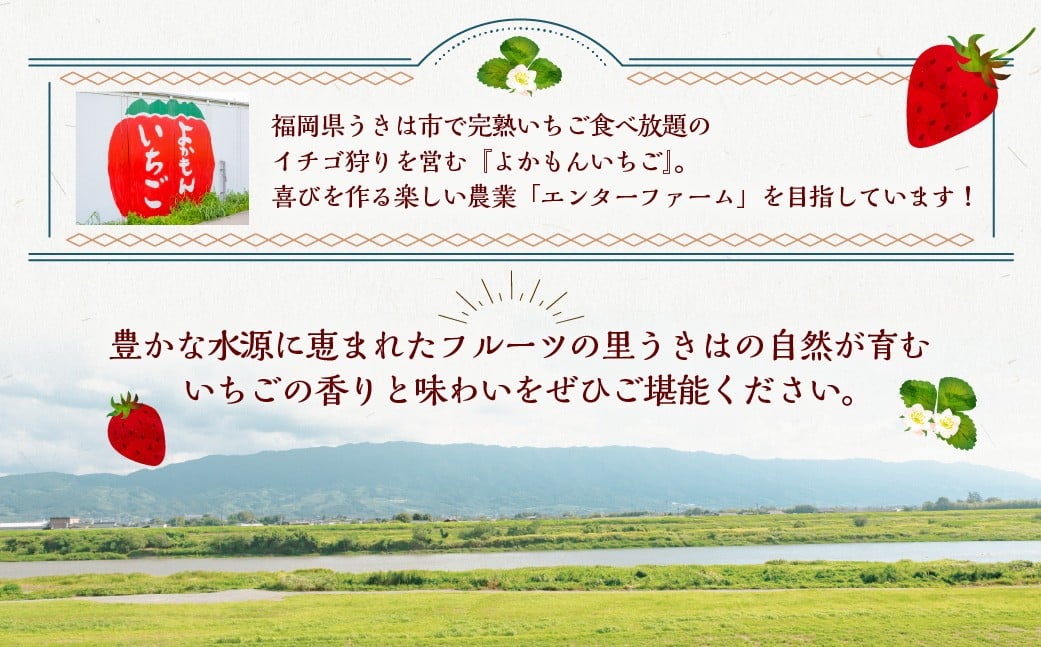 【2026年4月発送】 よかもんいちご 4品種食べ比べセット 8パック入り （計約2.16kg） よかもん苺 苺 いちご イチゴ 果物 果実 フルーツ 九州 福岡県 うきは市 冷蔵