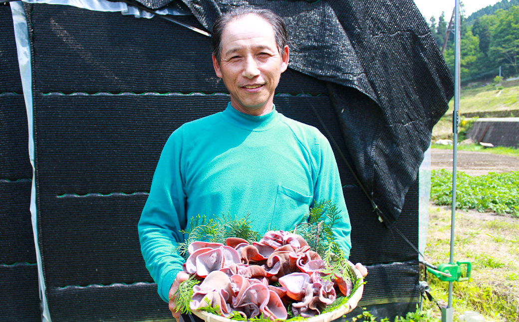 【先行予約】UIC 季節限定！完全無農薬！生きくらげ (約60g×6パック) 2025年5月から7月 出荷予定