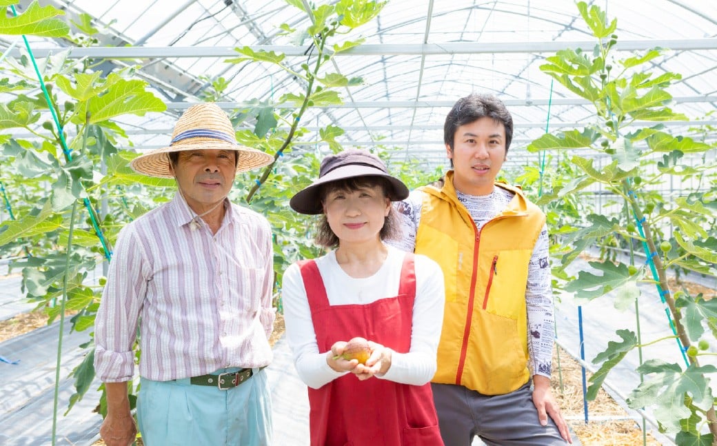 ãã¡ããïŒãšãã¿ã€ã²ãïŒ8ããã¯ã2026幎7æäžæ¬ã8æäžæ¬çºéäºå®ã ãã¡ãã ãã«ãŒã æç© ãã ãã® å·èµ çŠå²¡ç ããã¯åž