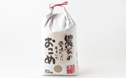 【定期便】日永園  ヒノヒカリ玄米10kg×12ヶ月