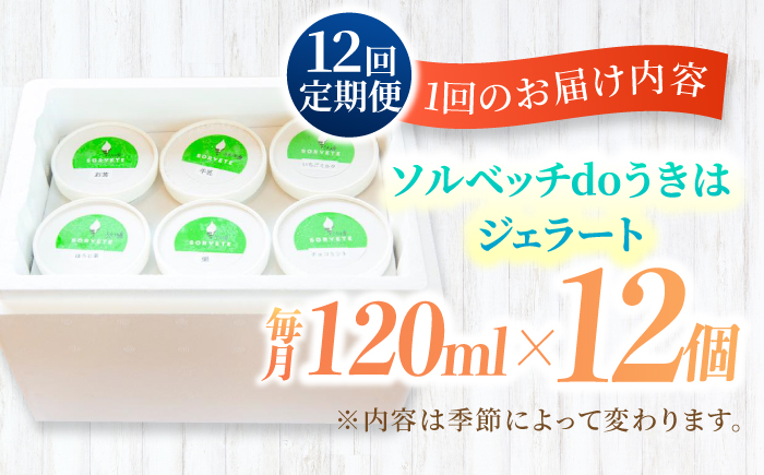 【12回定期便】果樹園が作る 素材の味を楽しめる 旬のジェラート 120ml×12個セット【ソルベッチdoうきは】着色料不使用 ノンホモ牛乳使用 ジェラート アイス 旬 スイーツ 詰め合わせ セット シャーベット ミルク フルーツ デザート 定期便