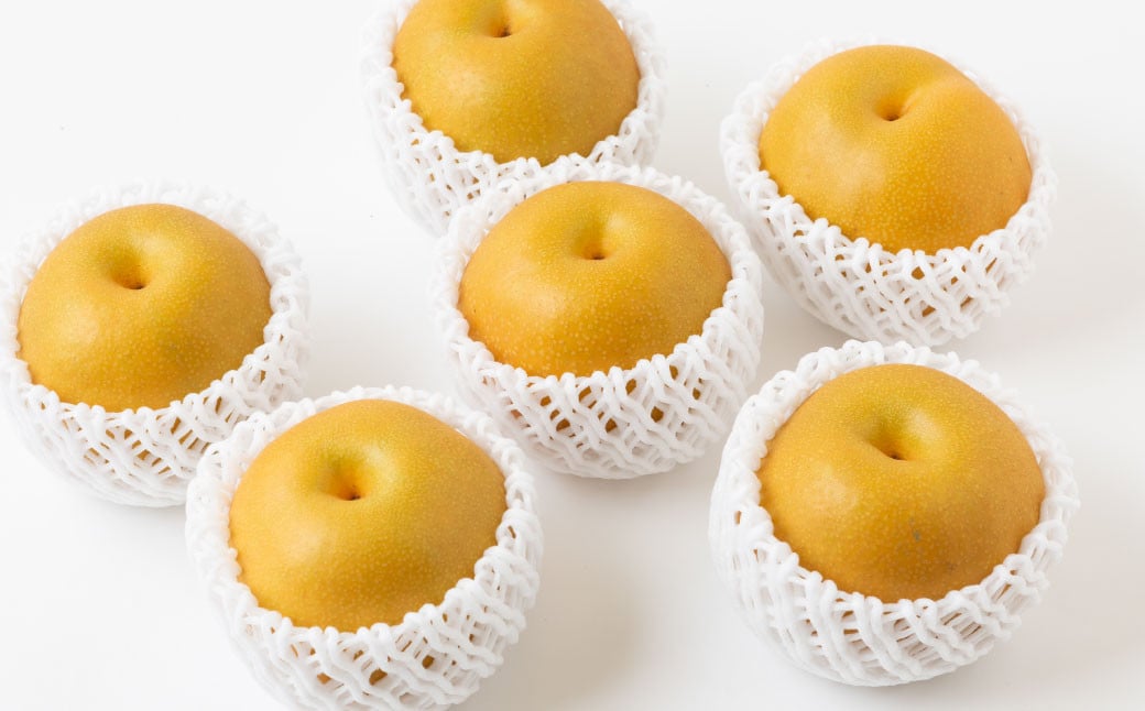 ãå
è¡äºçŽã éã®é§
ããã¯ è±æ°Žæ¢š ãŸãã¯ ç§ææ¢š 6çãã9ç ïŒçŽ3kgïŒ ã2025幎8æäžæ¬ãã9æäžæ¬ åºè·äºå®ã 梚 ãªã ãã· è±æ°Ž ã»ããã ç§æ ããã¥ã æç© ãã ãã® ãã«ãŒã æå® æ°é®® ãã¬ãã·ã¥ ãžã¥ãŒã·ãŒ ãåãå¯ã çŠå²¡ç ããã¯åž