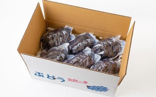 【先行予約】 宝玉農園 ピオーネ 5房～7房 （約3kg） 【2026年8月下旬～9月上旬より順次発送予定】 葡萄 ぶどう ブドウ 大粒 種無し 種なし 果物 くだもの フルーツ 果実 お取り寄せ 福岡県 うきは市 冷蔵