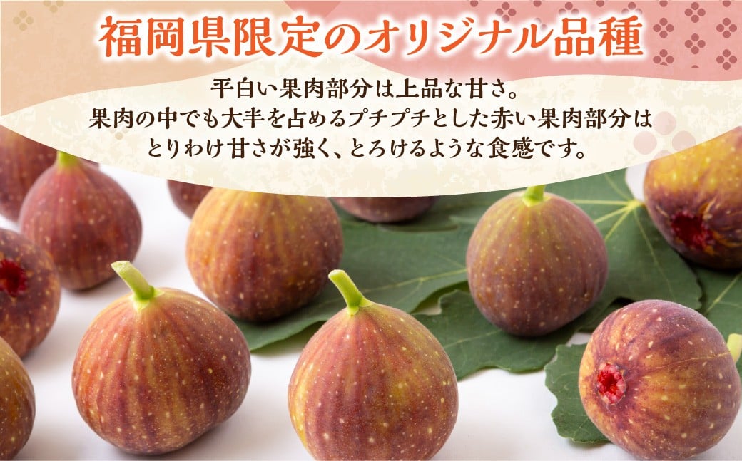 ãã¡ããïŒãšãã¿ã€ã²ãïŒ8ããã¯ã2026幎7æäžæ¬ã8æäžæ¬çºéäºå®ã ãã¡ãã ãã«ãŒã æç© ãã ãã® å·èµ çŠå²¡ç ããã¯åž