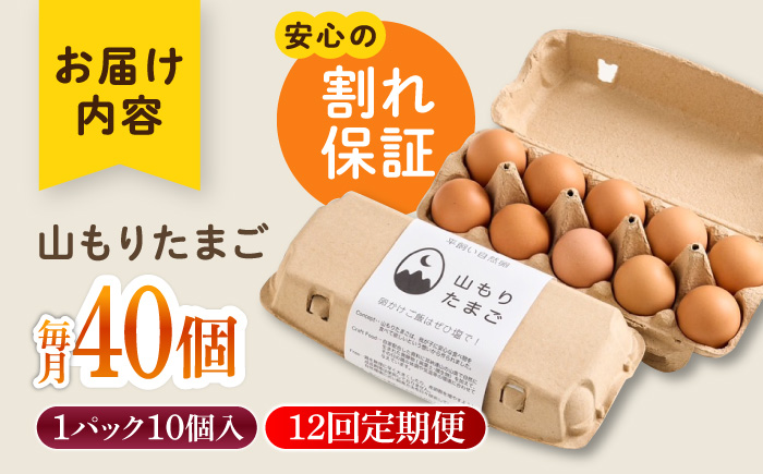 【12ヶ月定期便】平飼い 山もりたまご 40個 安心安全 おいしさに感動 たまご 卵 高級卵 平飼い 安心安全 飼料にこだわり 成長剤 ホルモン剤 添加物不使用 12回定期便
