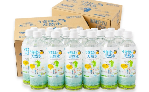 うきは名水 うきはの天然水 (500ml×24本入り) 2箱 ナチュラルミネラルウォーター