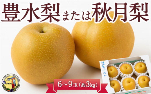 【先行予約】道の駅うきは 豊水梨または秋月梨 6玉から9玉 (約3kg) 2025年8月下旬から9月上旬 出荷予定