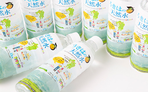 うきは名水 うきはの天然水 (500ml×24本入り) 2箱 ナチュラルミネラルウォーター