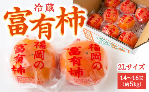 伊藤園 冷蔵富有柿 (2Lサイズ) 14玉から16玉 (約5kg) 2024年12月中旬から12月下旬 出荷予定