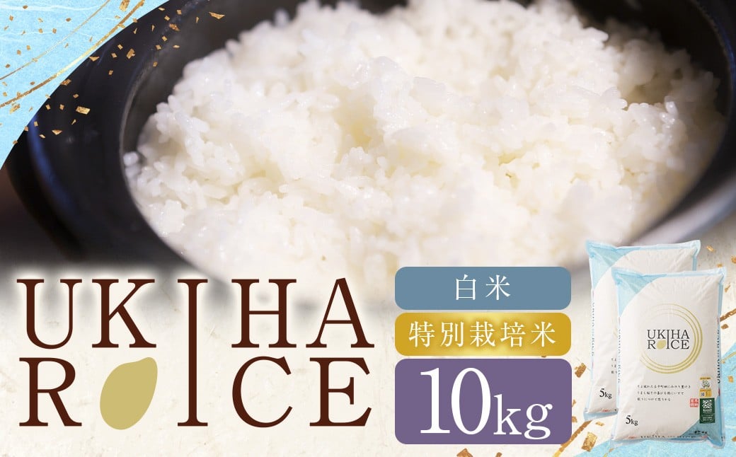 UKIHA RICE 白米 10kg （特別栽培米） 【2025年11月上旬から2026年8月下旬発送予定】 ヒノヒカリ ひのひかり 精米 米 こめ コメ お米 おこめ 白米 精米 ごはん ご飯 お中元 お歳暮 ギフト プレゼント 贈答品 おすすめ 国産