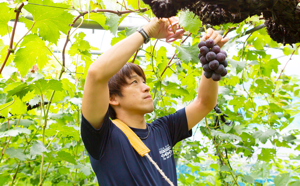 中村柿ぶどう園 濃縮ぶどうビネガー (シャインマスカット) 300ml×2本 フルーツビネガー 果実酢 フルーツ酢 お酢 酢 ビネガー 濃縮タイプ 飲料 福岡県 うきは市