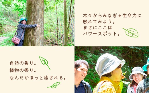 【参加型体験】リフレッシュ＆デトックス〜心癒されるうきは 森林セラピー〜