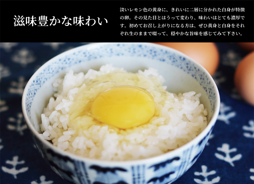 iTo farm 酵の鶏 40個