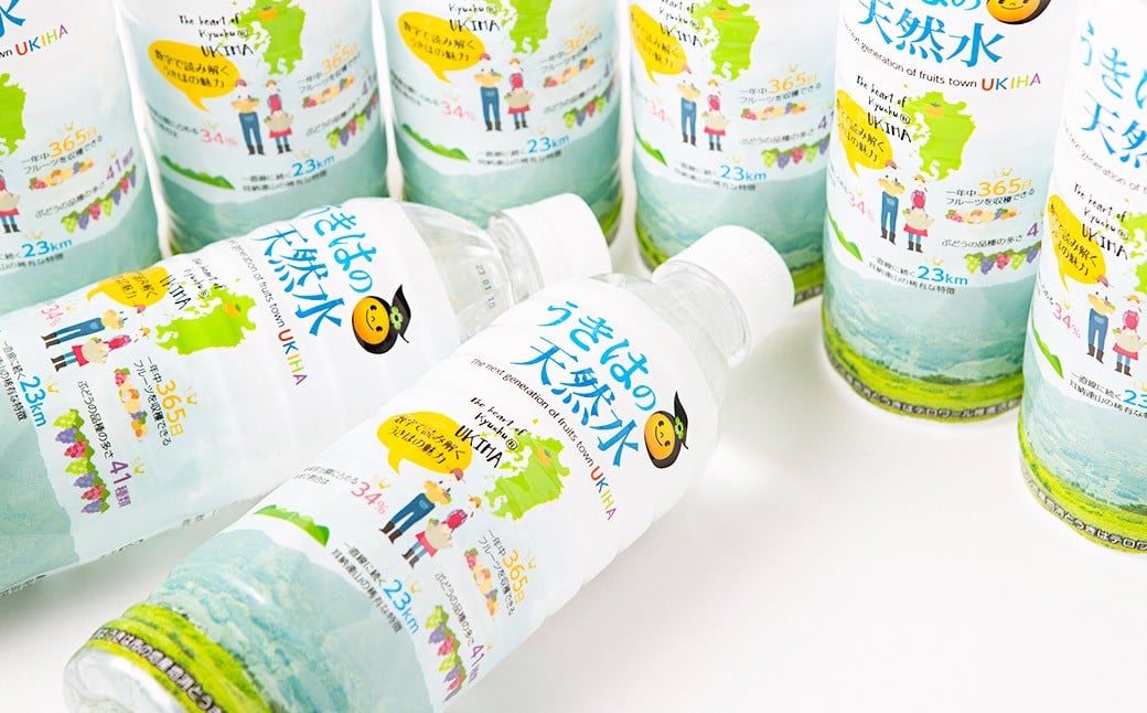 うきは名水 うきはの天然水 (500ml×24本入り) 2箱 ナチュラルミネラルウォーター