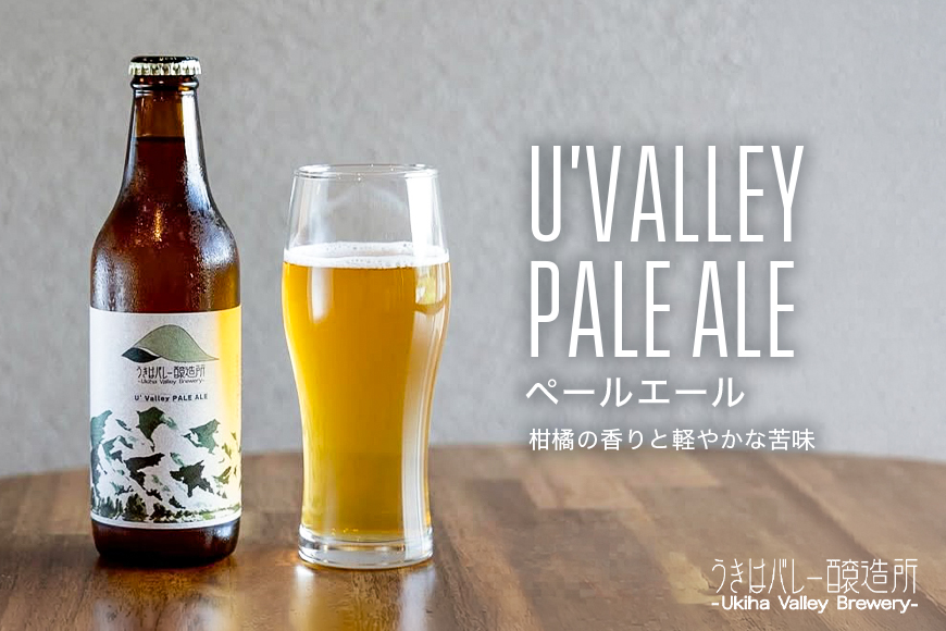 【ふるさと納税】クラフトビール 飲み比べ 4種 8本セット 地ビール ビール 瓶ビール お酒 ギフト 詰め合わせ プレゼント 家飲み お祝い お祝い返し 開店祝い 退職祝い 新築祝い おすすめ 国産 福岡県うきは市 エールビール 送料無料【株式会社うきはバレー醸造所】