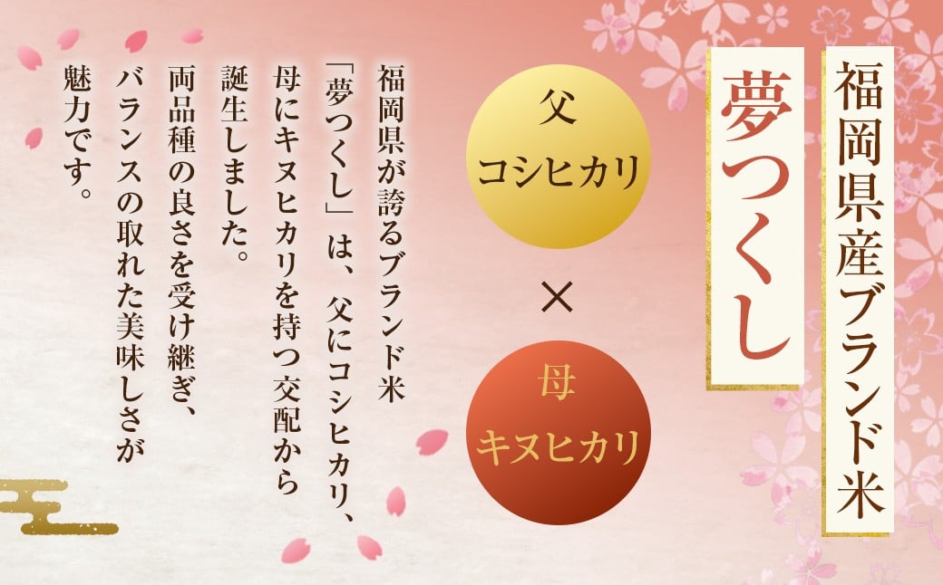 《令和7年産》 福岡県産 夢つくし 無洗米 （5kg） こめ コメ ごはん ご飯 コシヒカリ キヌヒカリ 白米 令和7年度米 単一原料米 ブランド米 福岡県 うきは市 常温