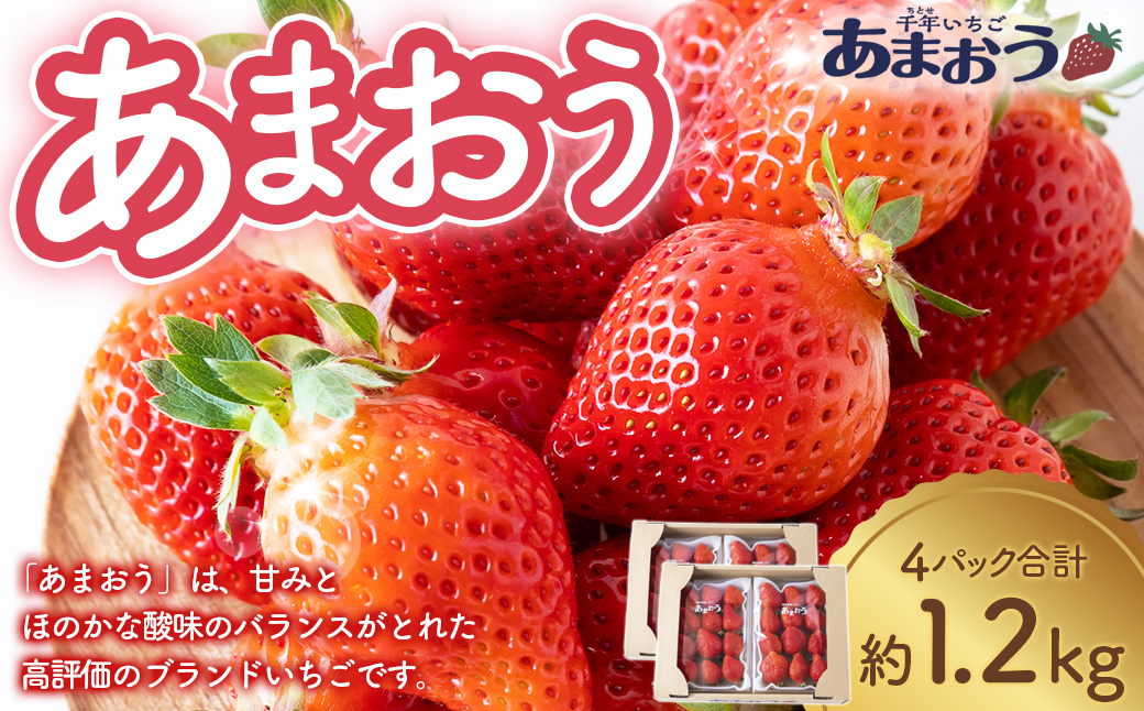 千年いちご あまおうイチゴ (300g×4パック) 1月お届け あまおう いちご イチゴ 苺 フルーツ 果物 冷蔵 送料無料 福岡県 うきは市 【2026年1月より順次発送予定】