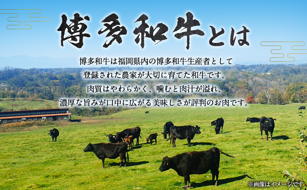 【定期便】博多和牛 希少部位の塊 (ブロック) 肉500g 毎月1回 12ヵ月お届け