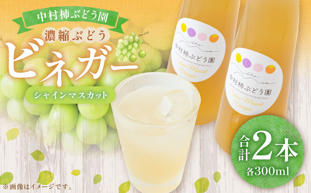 中村柿ぶどう園 濃縮ぶどうビネガー (シャインマスカット) 300ml×2本 フルーツビネガー 果実酢 フルーツ酢 お酢 酢 ビネガー 濃縮タイプ 飲料 福岡県 うきは市