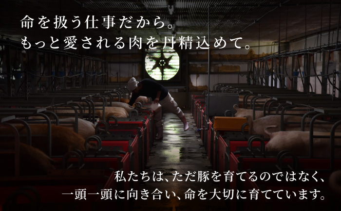 ãªããŒã¯ã€ã«ãã»ãã ã»ãã¡ã¯ããªãŒ ããã¶ãã¿ã挬ã (250gÃ7ããã¯) è±è ã¶ã ç空ãã㯠å·å çŠå²¡ç ããã¯åž