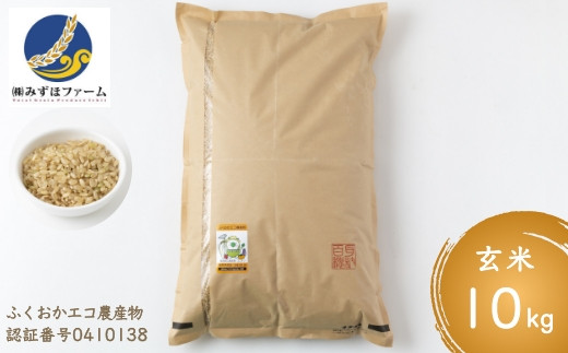 みずほファーム 特別栽培米ヒノヒカリ 玄米10kg