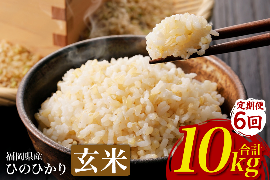 【6回定期便】【ふるさと納税】ひのひかり 米 お米  玄米  10kg  10キロ 福岡県産 うきは市 国産 精米 ご飯 ごはん おにぎり お弁当 人気 おすすめ 家庭用 送料無料 新米 ストック 厳選 農家直送 大容量【JA福岡くるめ にじの耳納の里】