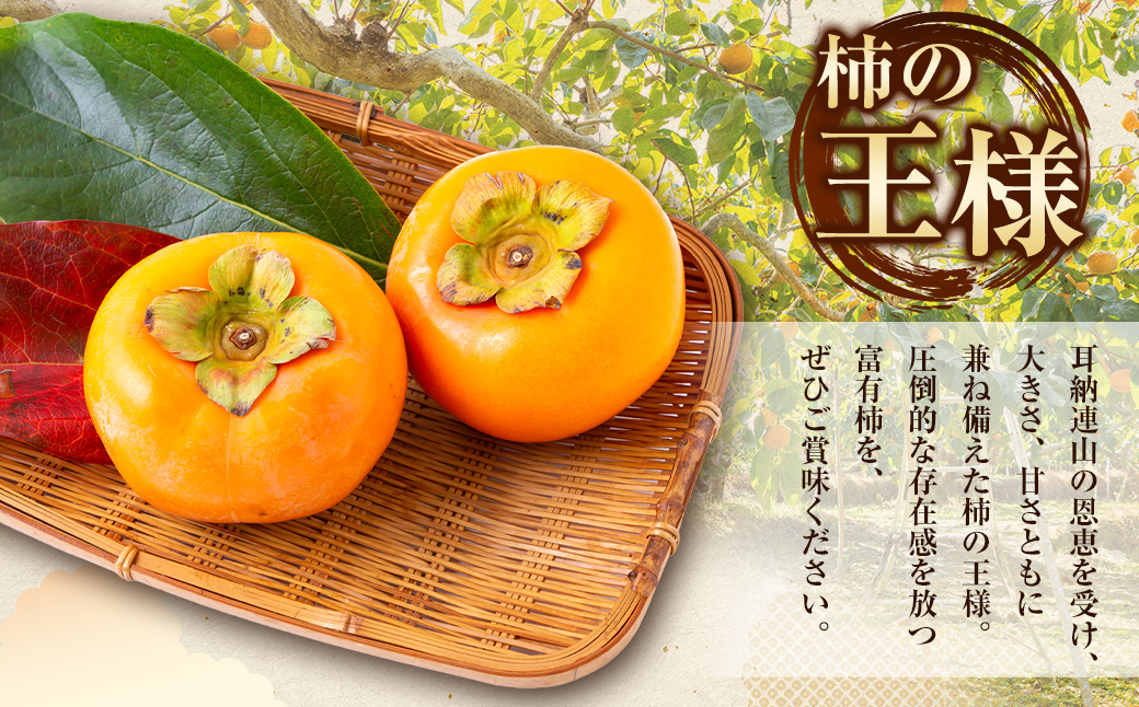 【先行予約】柿屋うちやま 富有柿 9玉から12玉 2025年11月中旬から12月上旬 出荷予定