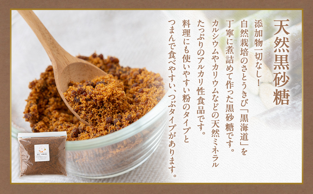 アグリファームさいとう 天然黒砂糖 （粉タイプ170g×2袋） さとうきび 黒砂糖 うきは市