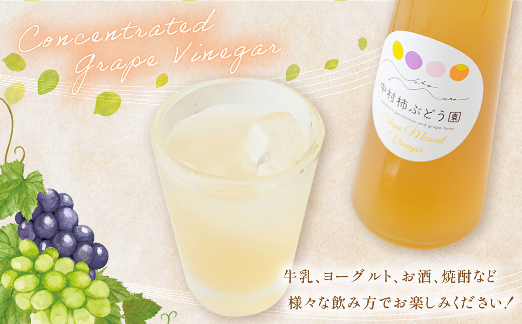 中村柿ぶどう園 濃縮ぶどうビネガー2本セット(ぶどう・シャインマスカット) 各300ml フルーツビネガー 果実酢 フルーツ酢 お酢 酢 ビネガー 濃縮タイプ 飲料 福岡県 うきは市