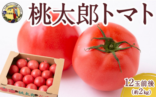 道の駅うきは 桃太郎トマト 12玉前後 (約2kg) 2024年12月上旬から2025年5月下旬 出荷予定