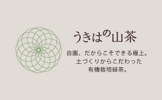 新川製茶 うきはの山茶ティーバッグセット