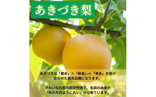 【先行予約】しゅうたの畑 希少品種 あきづき梨 6玉から7玉 2025年9月上旬から9月中旬 出荷予定