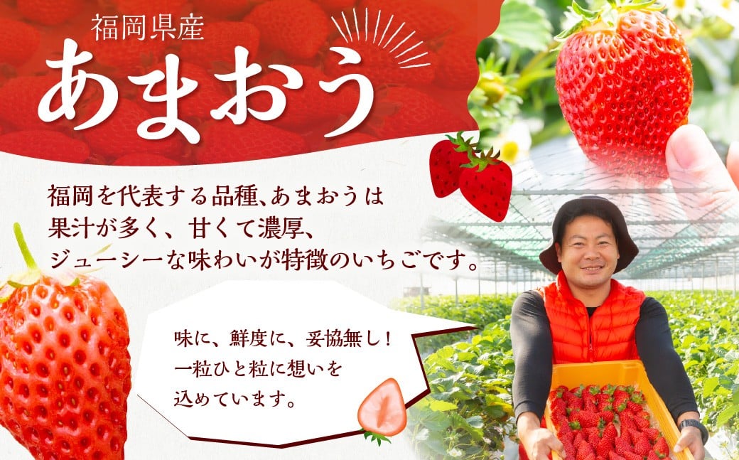 【2026年4月発送】 よかもんいちご あまおう苺セット 6パック （計約1.62kg） よかもん苺 苺 いちご イチゴ 果物 果実 フルーツ 九州 福岡県 うきは市 冷蔵