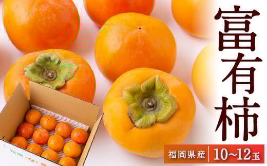 【先行予約】江藤農園 富有柿 10玉から12玉(約3kg) 2025年11月中旬から11月下旬 出荷予定