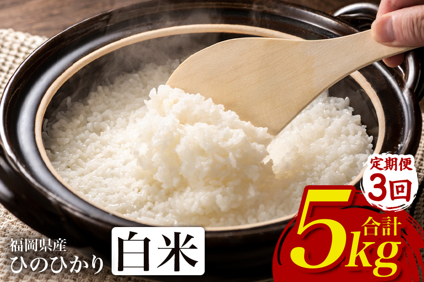 ã3åå®æäŸ¿ãã²ã®ã²ãã ç±³ ãç±³ çœç±³ 5kg 5ãã çŠå²¡çç£ ããã¯åž åœç£ 粟米 ã飯 ãã¯ã ãã«ãã ãåŒåœ äººæ° ãããã å®¶åºçš éæç¡æ æ°ç±³ ã¹ãã㯠å³éž 蟲家çŽé 倧容éãJAçŠå²¡ããã ã«ãã®è³çŽã®éã