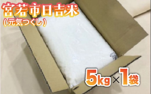 【令和7年産】日吉産 元気つくし 5kg [M909-2]