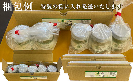 かすがの青こしょう 約400g 約40g×10個 [M760] 調味料 柚子 胡椒 ゆず こしょう スパイス 薬味 風味