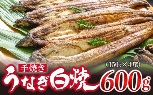 〈いろは〉九州産手焼きうなぎ白焼き 4尾 (約600g) [M829-1] ウナギ 鰻 炭火焼き 肉厚 うな重 ランキング 土用の丑の日 鹿児島県 人気 オススメ 宮若市